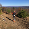 2017 Race