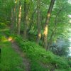 trail.jpg