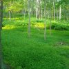 trail2.jpg