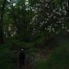 trail3.jpg