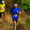 lgnc10k2013-12